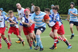 U12 al Trofeo Galletto