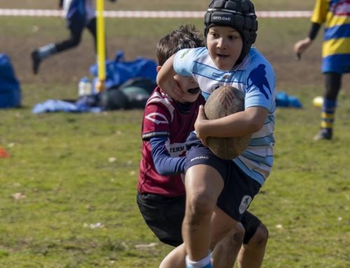Festa del Rugby Cernusco