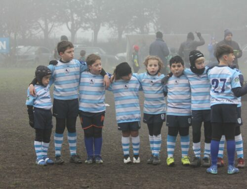 U10 raggruppamento Mosquito Rugby 15/12/2024