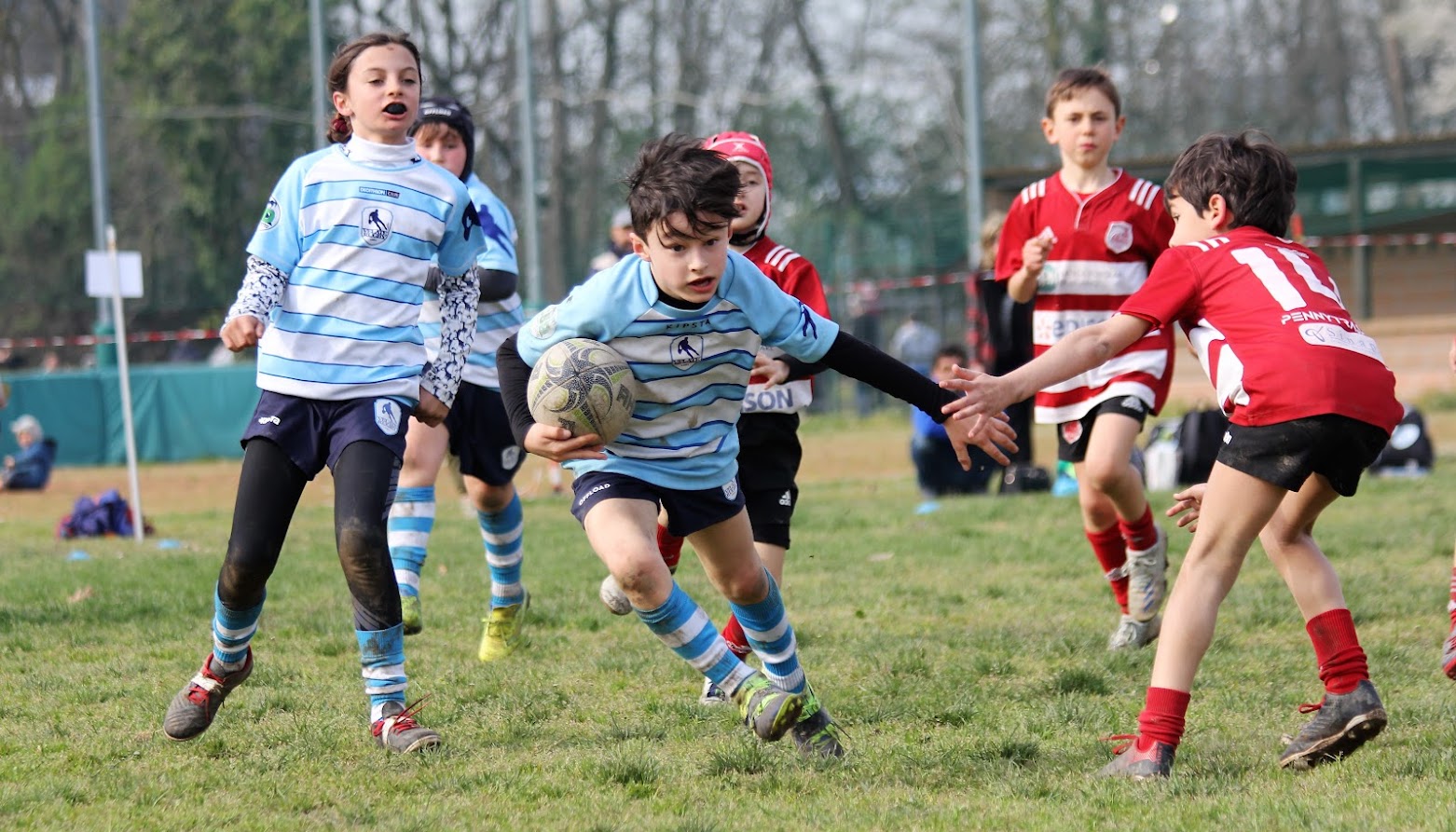 Festa del Rugby Settimo Milanese
