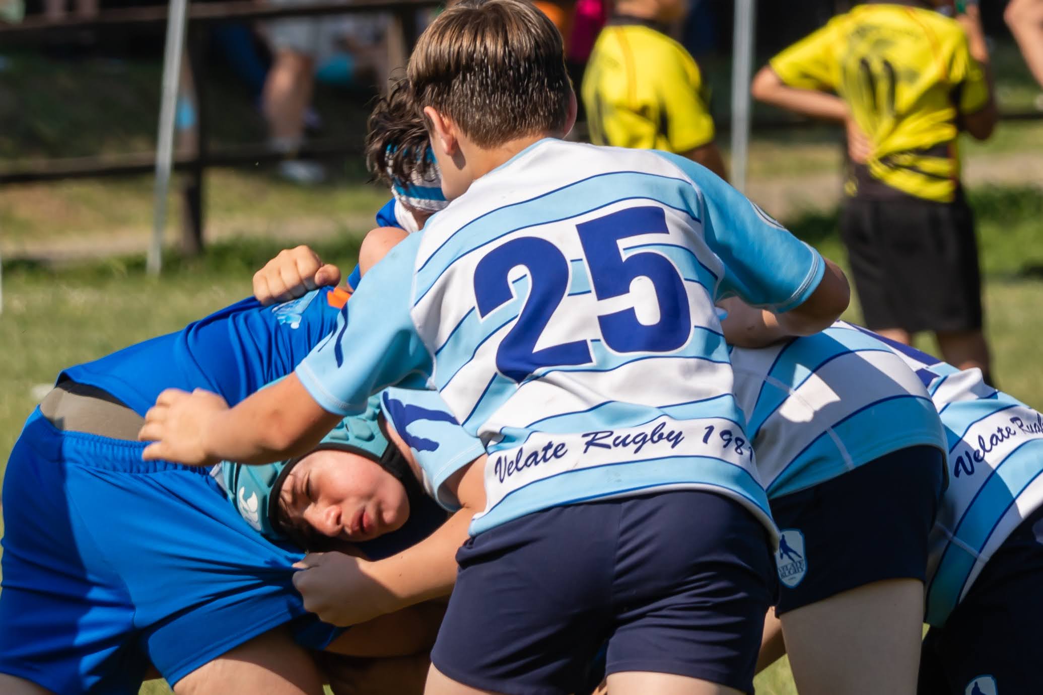 Trofeo della Cupola 2026 Novara 24/05/2026